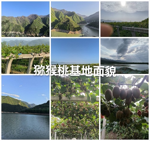 d82f52e3c233b7cd8164520fc9840de - 副本.jpg
