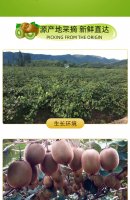 广东山村，因机械化制造受限，摇