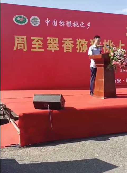 周至的猕猴桃主打的品种【翠香猕