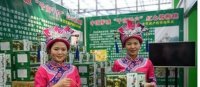 绿心猕猴桃 走俏深圳 闪耀“绿