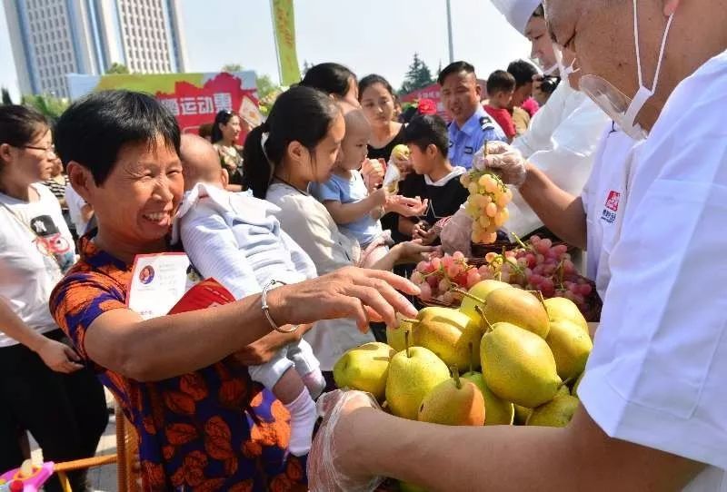 猕猴桃团购采摘网 洛阳首届河洛