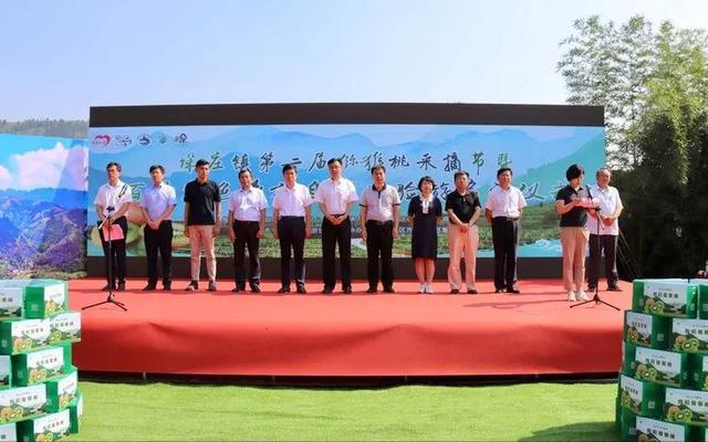 猕猴桃种植基地 “山东6个10