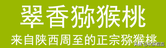 描述陕西猕猴桃种植销售市场观点