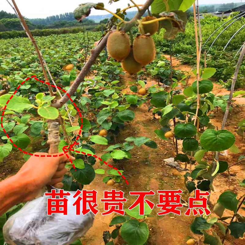 爱美的女士千万不要拒绝的诱惑！