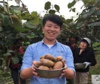 石家庄平山县:特色种植猕猴桃成