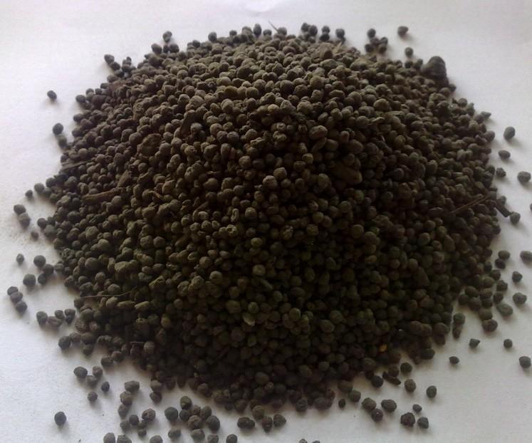 陕西周至县猕猴桃种植：揭开了品
