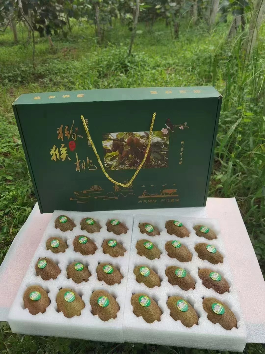 陕西猕猴桃基地提醒网上订购猕猴