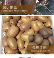 解密翠香猕猴桃硬的究竟好不好吃