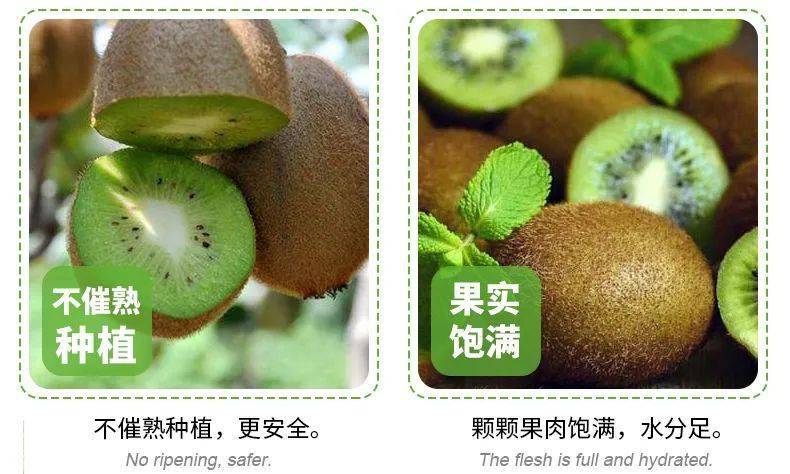 描述陕西猕猴桃种植销售市场观点