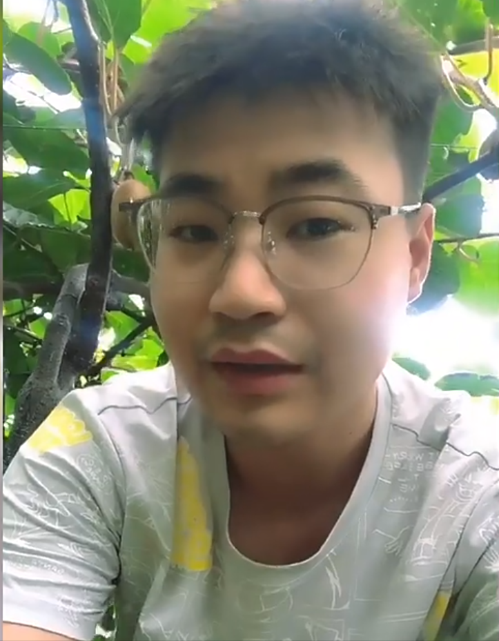 描述陕西猕猴桃种植销售市场观点