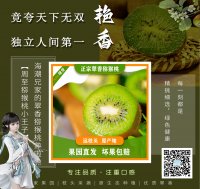 九月周至猕猴桃丰收，一箱猕猴桃