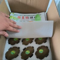 徐香猕猴桃：从毛梨到奇异果的华